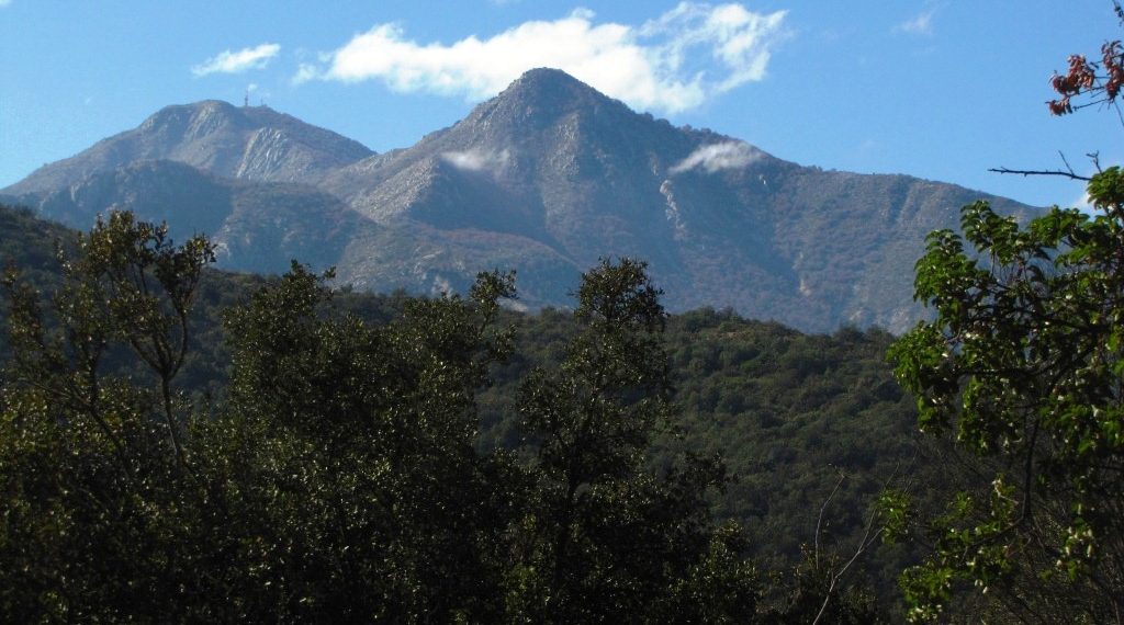 plateau1